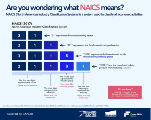illustrazione di codici categoria attivita economiche