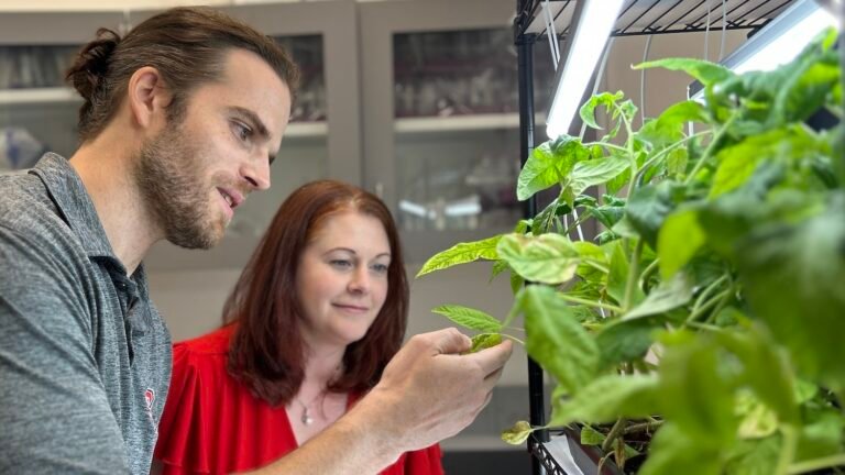 Cos’è la Nuova Sabatini Green e Come Accedere ai Suoi Benefici