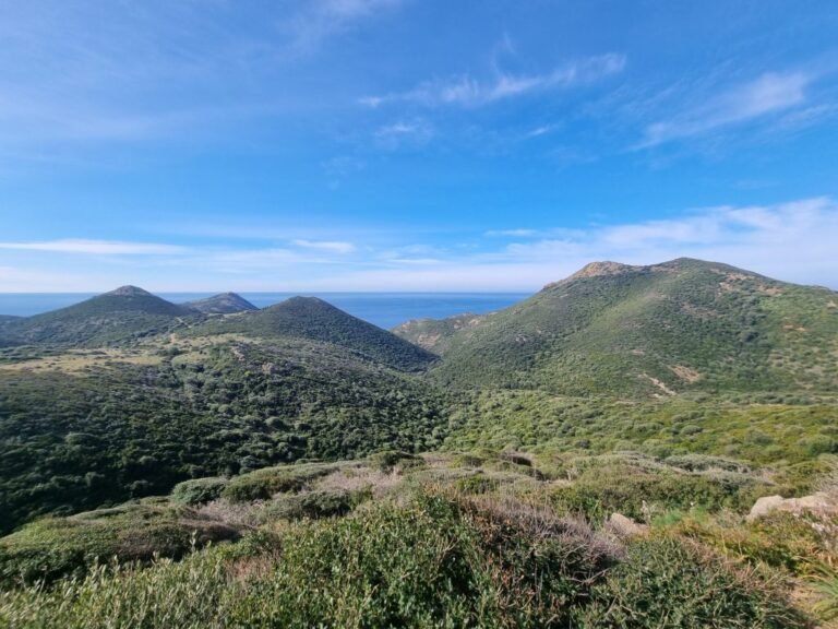 Come Ottenere Contributi a Fondo Perduto in Sardegna 4 Come Ottenere Contributi a Fondo Perduto in Sardegna